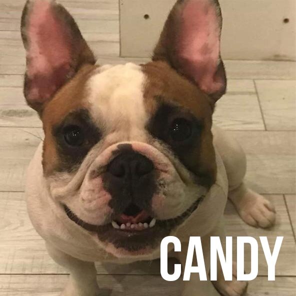 Candy.jpg