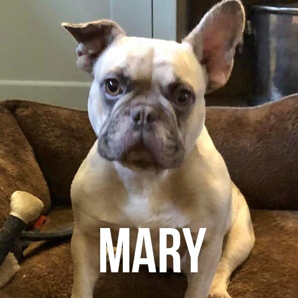 mary.jpg