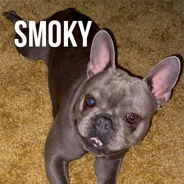 smoky.jpg