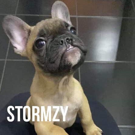 stormzy.jpg