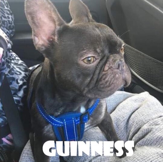 GUINNESS+1.jpg