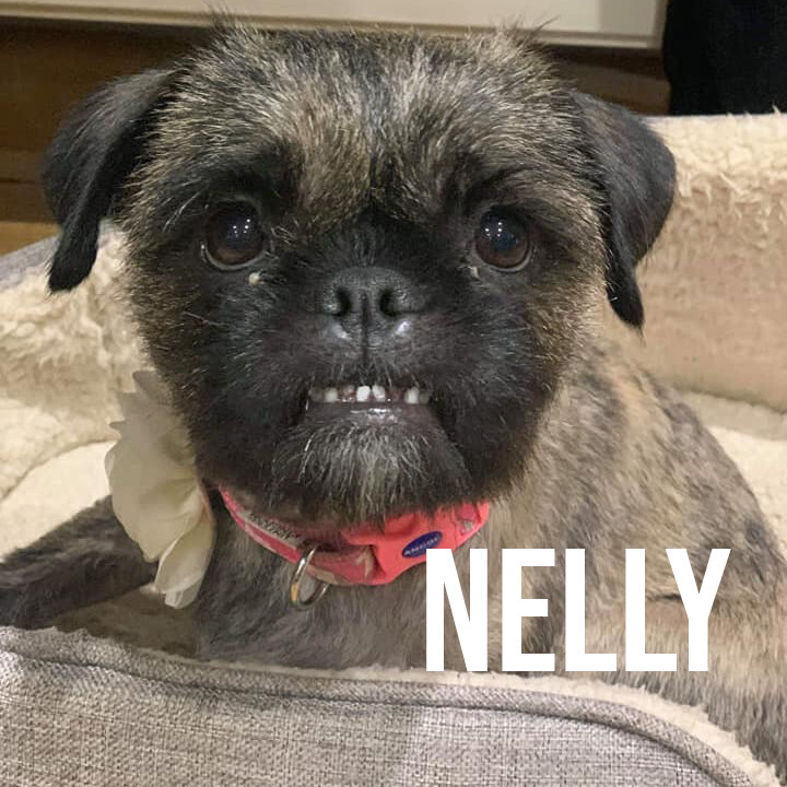 nelly.jpg