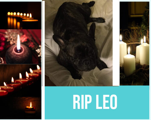 RIP LEO.jpg