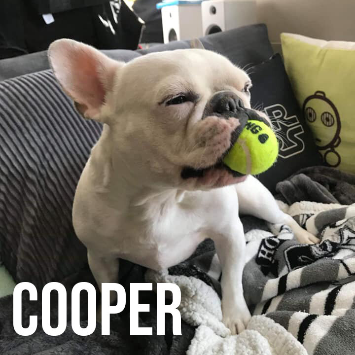 cooper.jpg