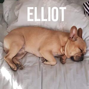 elliot.jpg