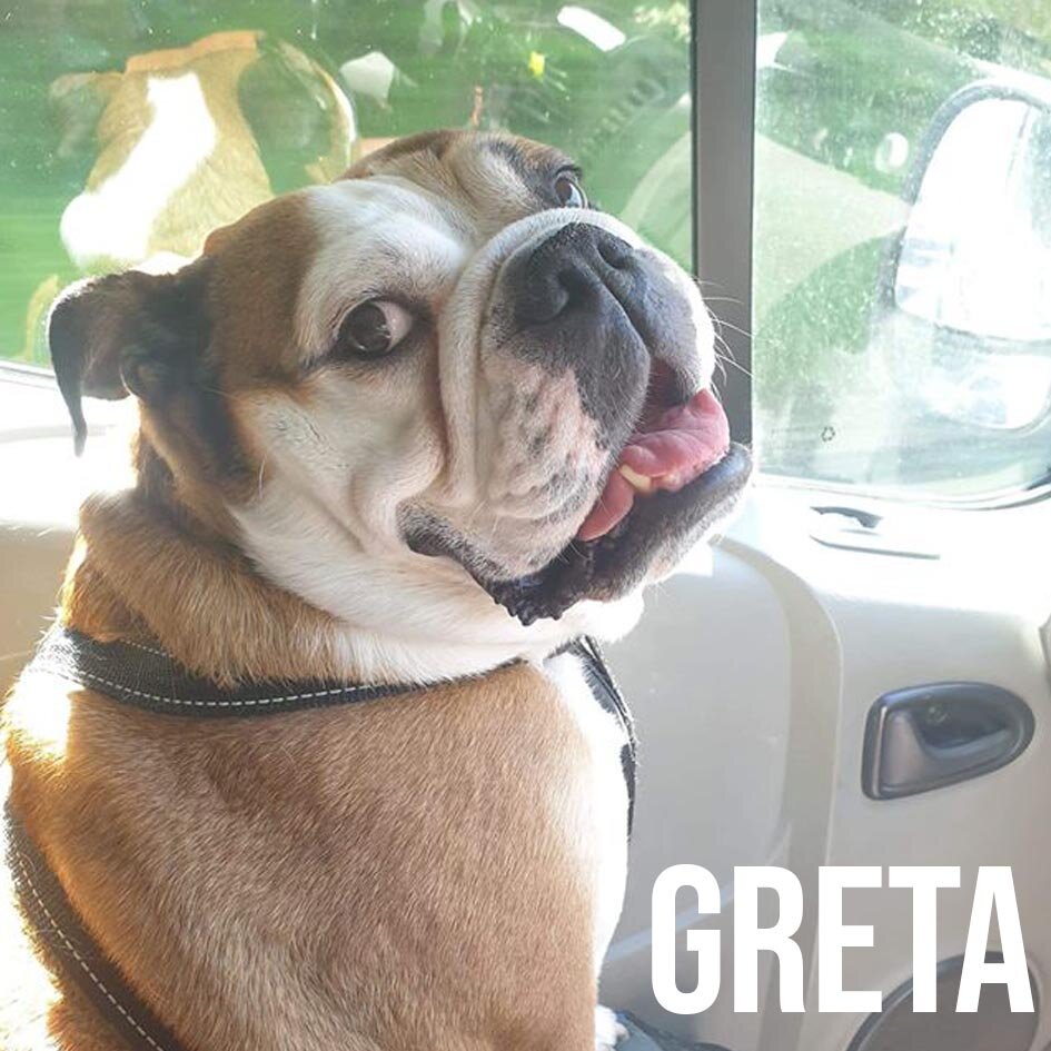 GRETA.jpg