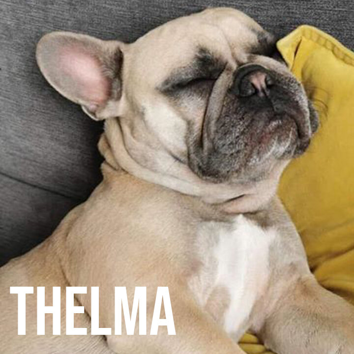 thelma.jpg