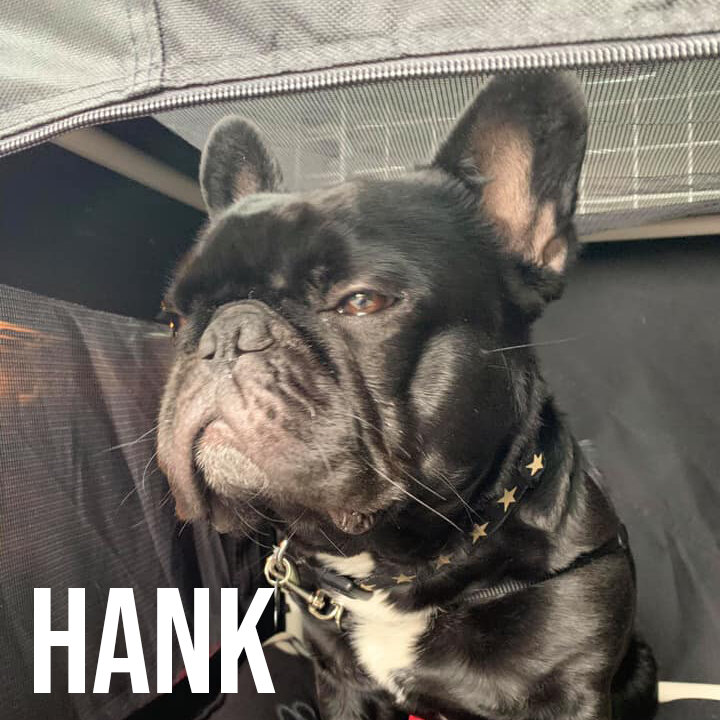 HANK.jpg