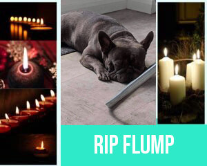 RIP FLUMP.jpg