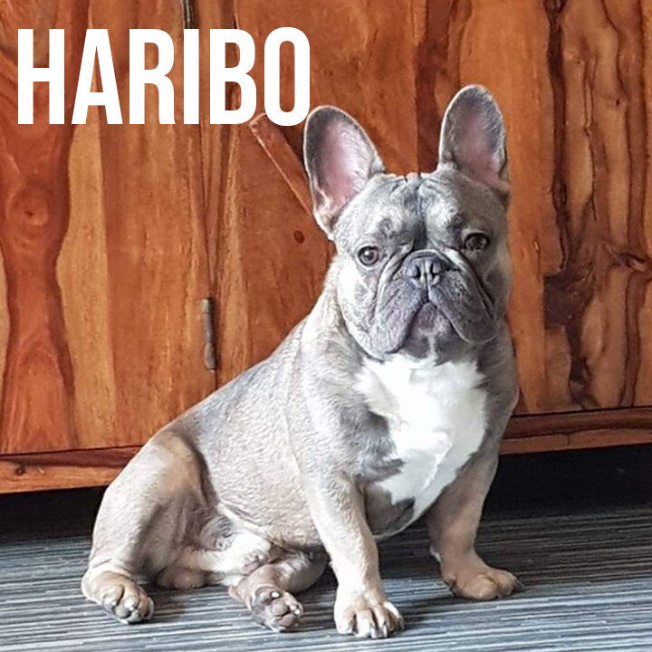 haribo.jpg