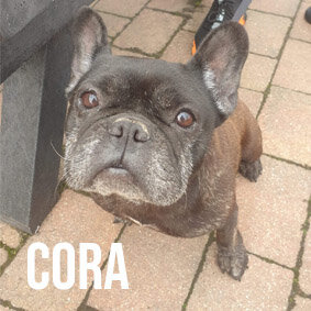 CORA.jpg