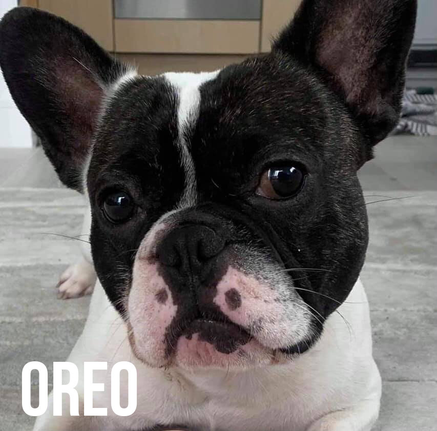 OREO.jpg