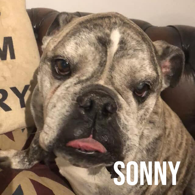 SONNY.jpg