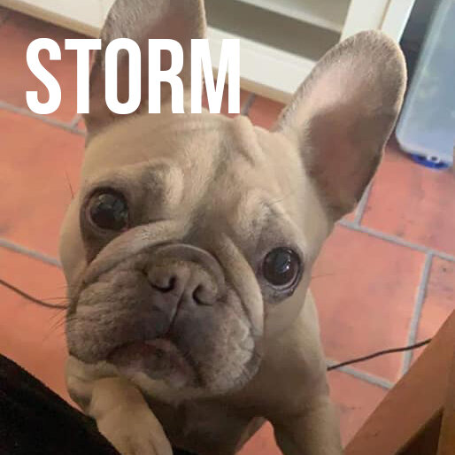 storm.jpg