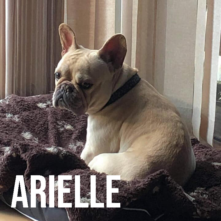 arielle.jpg