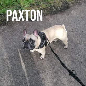 paxton.jpg