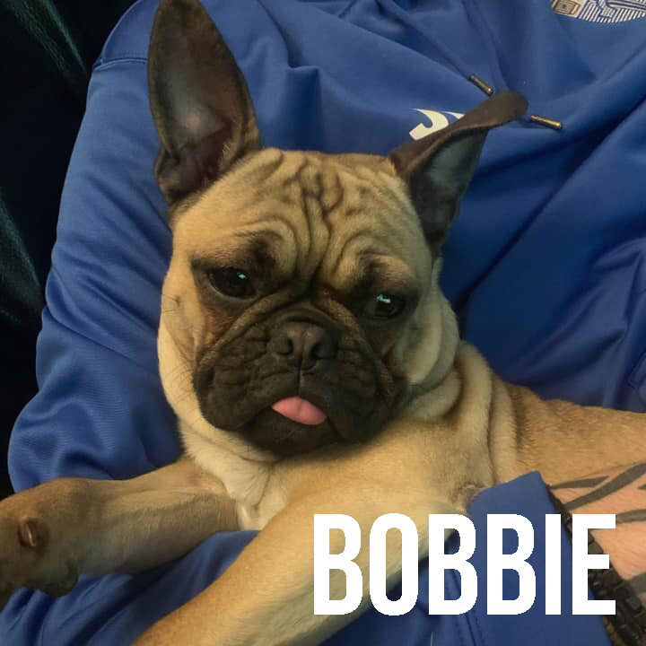 bobbie.jpg