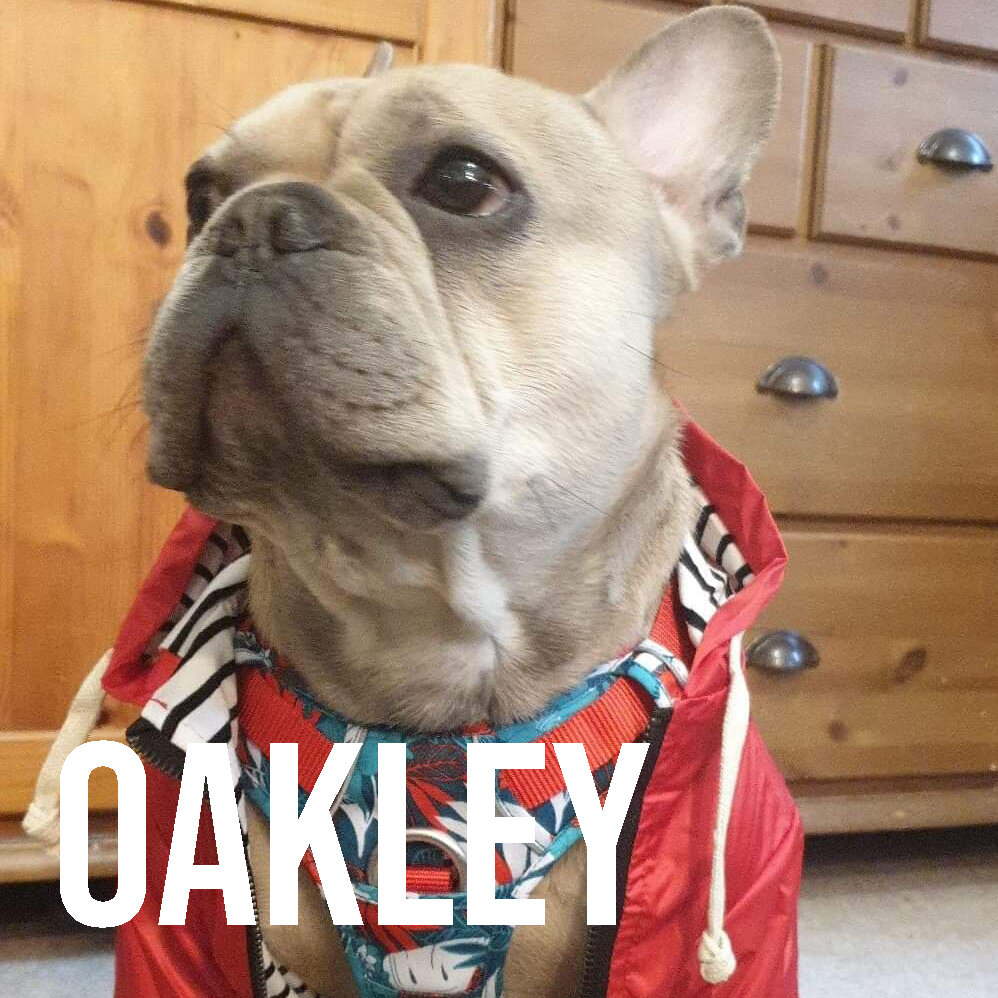 oakley.jpg