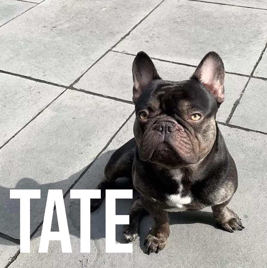 TATE.jpg