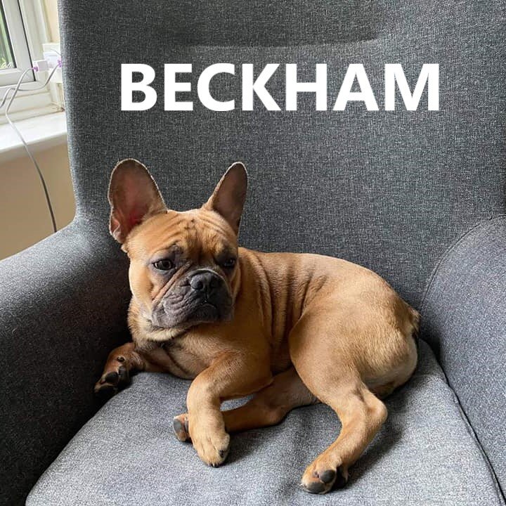 beckham.jpg