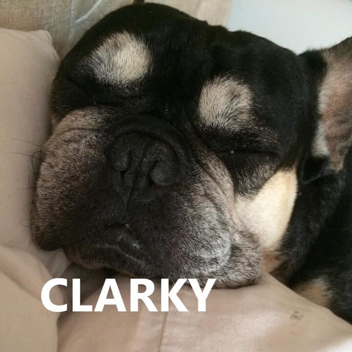 clarky.jpg