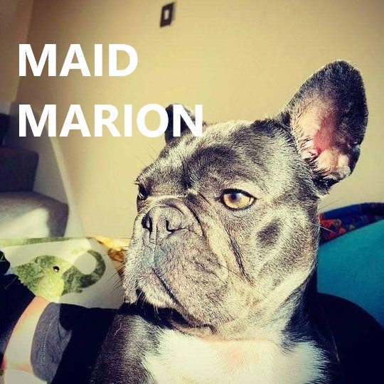 maid marion.jpg