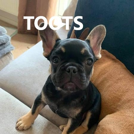 toots.jpg