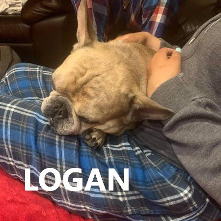 logan.jpg