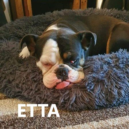 etta.jpg