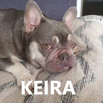 keira.jpg