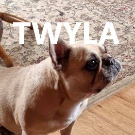 twyla.jpg