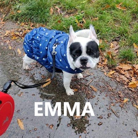 emma.jpg