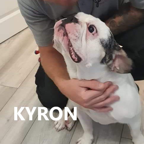 kyron.jpg