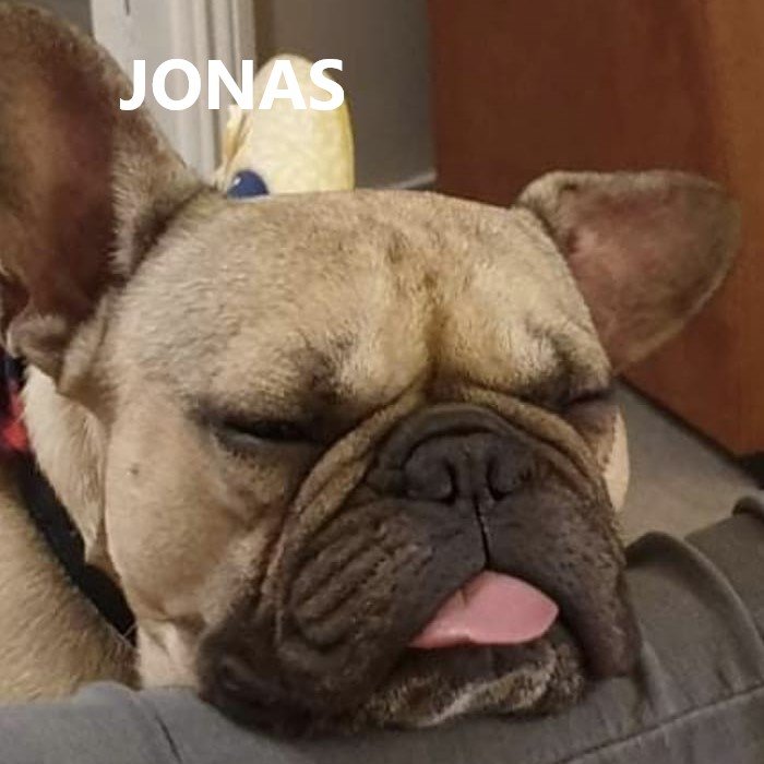 jonas.jpg