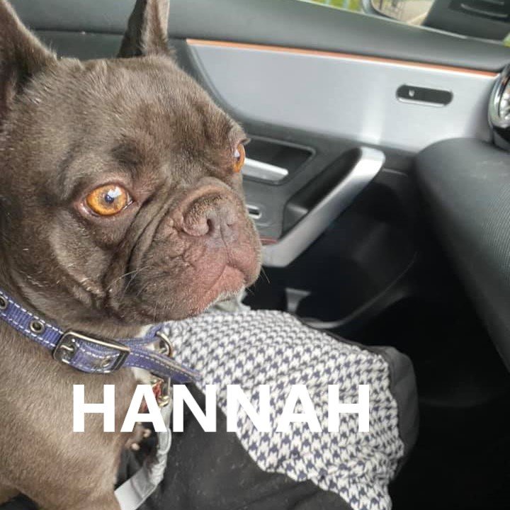 hannah.jpg