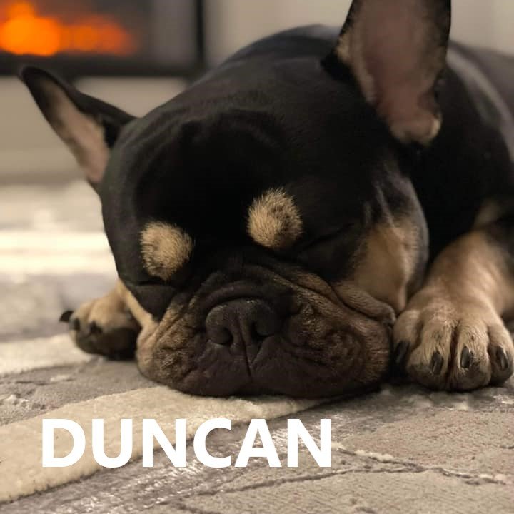 duncan.jpg