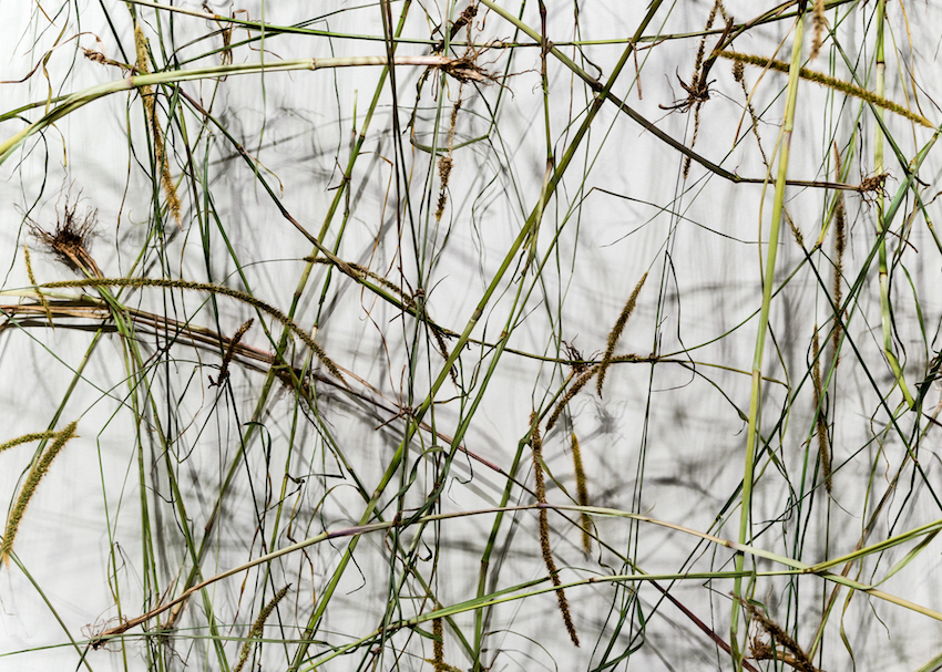 DSC_8455.jpg