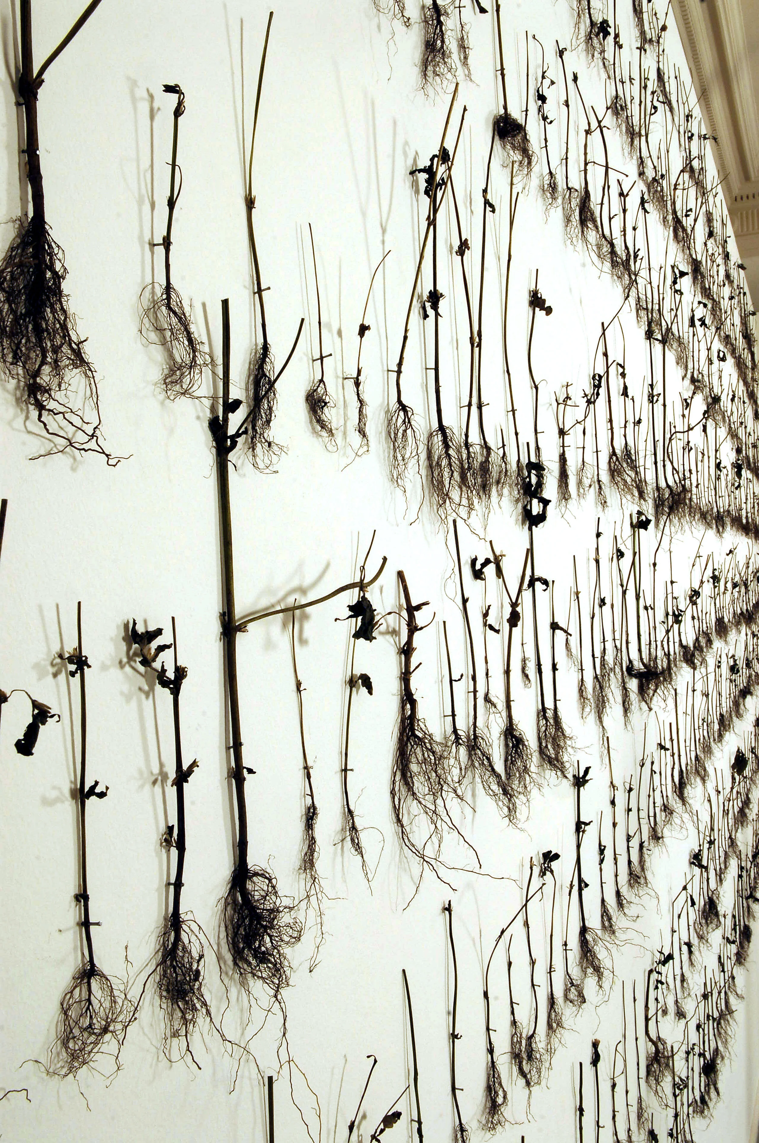 transience 010 copy.jpg