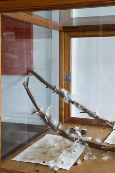 020910 GWW install 04 copy 2.JPG