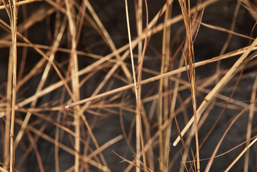 020910 GWW install 13 copy 2.JPG