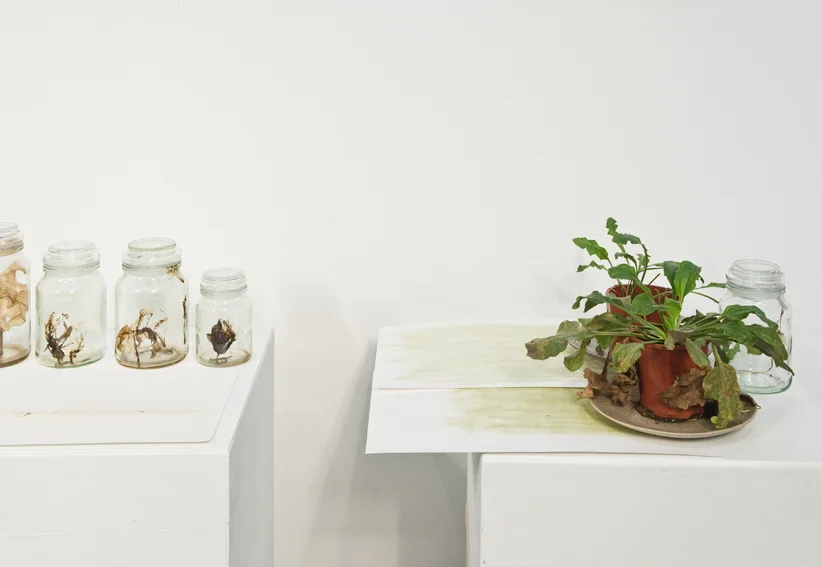 020910 GWW install 24 copy 2.JPG