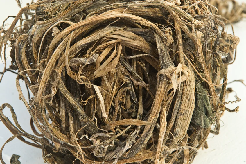 020910 GWW install 29 copy 2.JPG