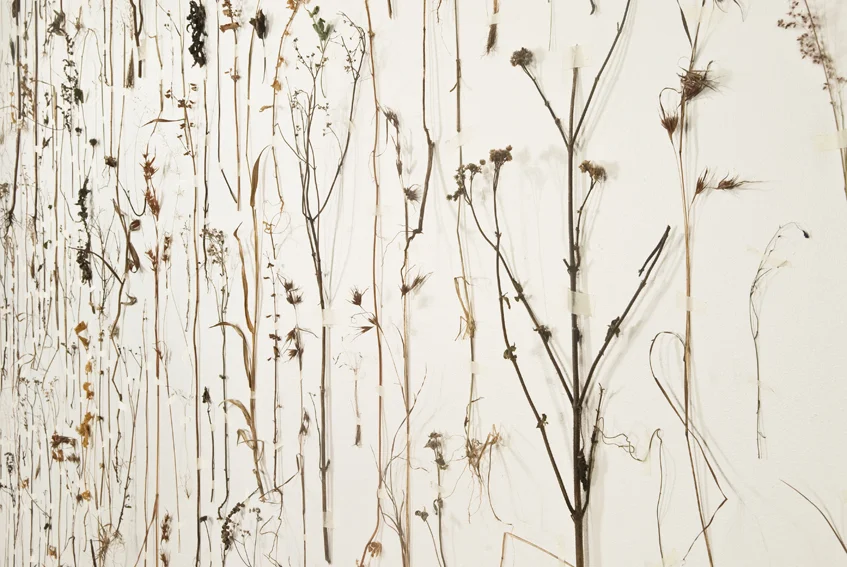 020910 GWW install 33 copy 2.JPG