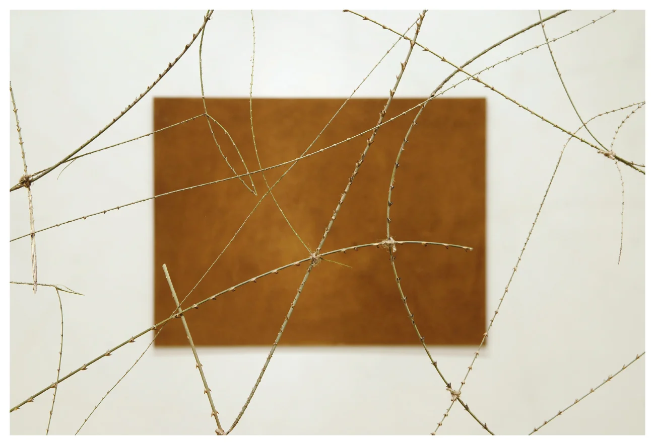 190407 TIJN MEULENDIJKS AT CRG06 copy.JPG