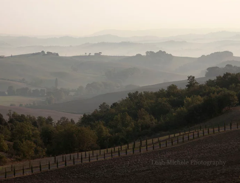 Tuscan Hills Morning Fog