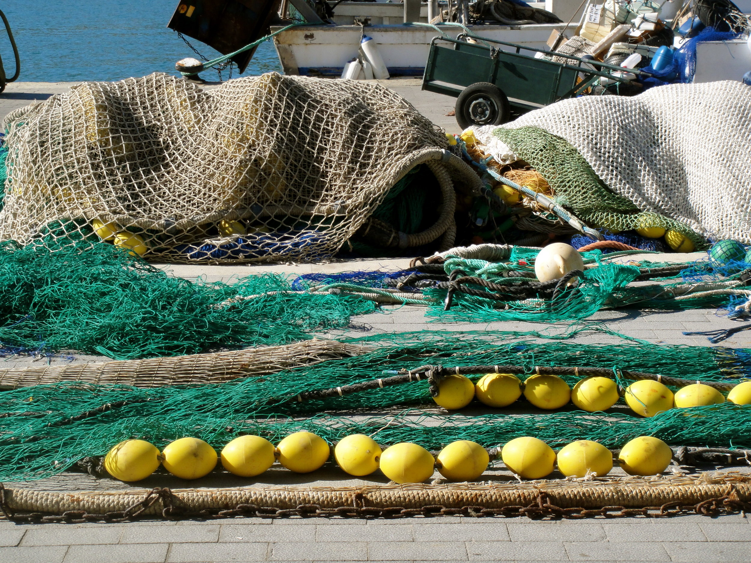 dsc06150.jpg