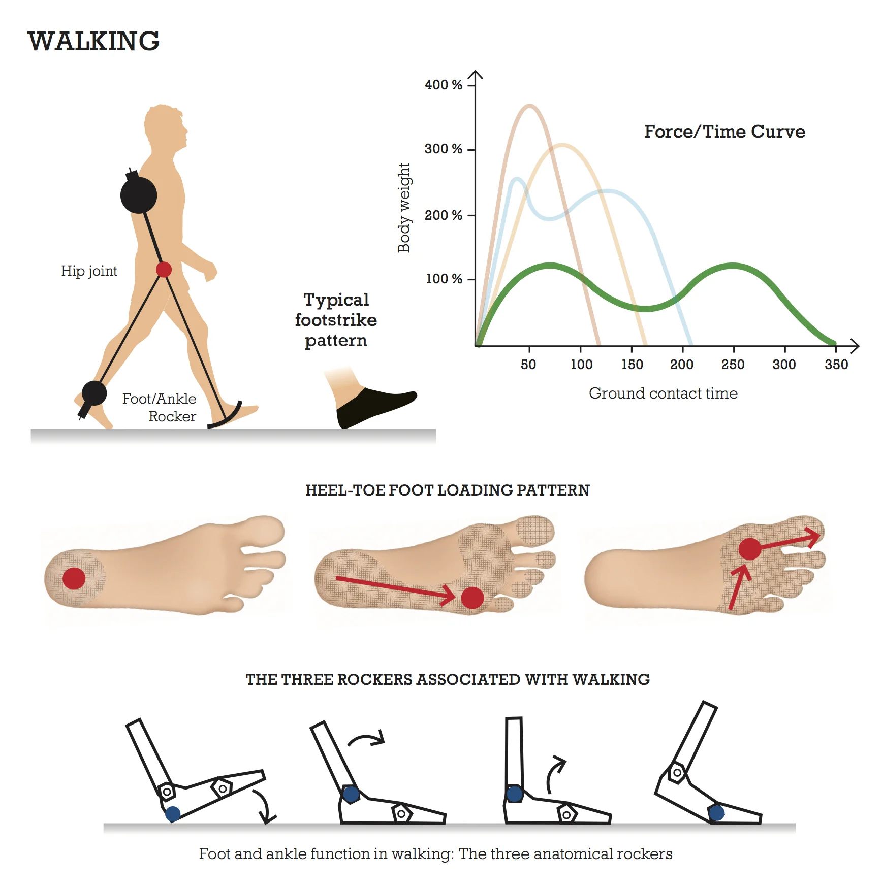 Walking.jpg