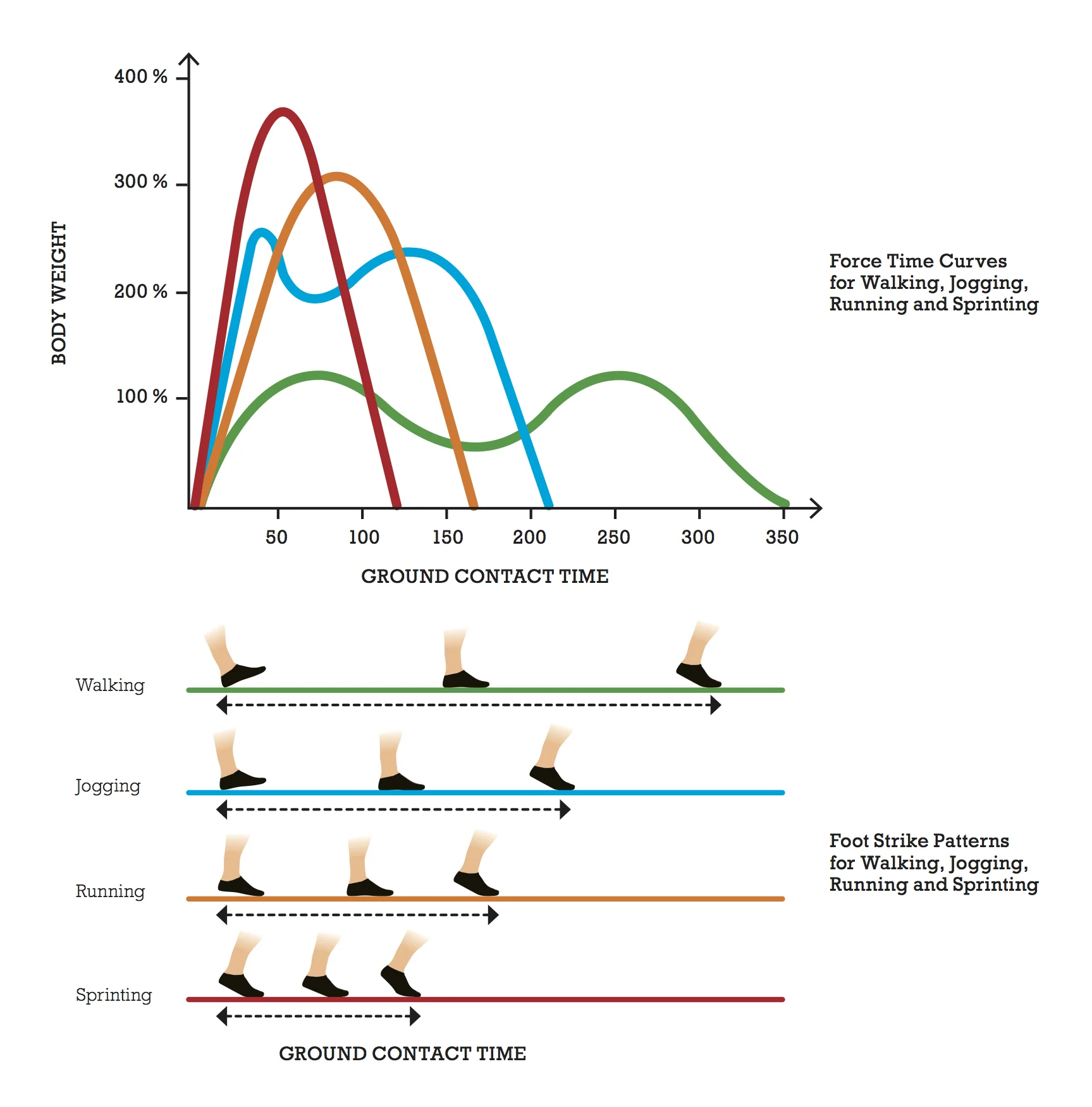 locomotion-curves.jpg