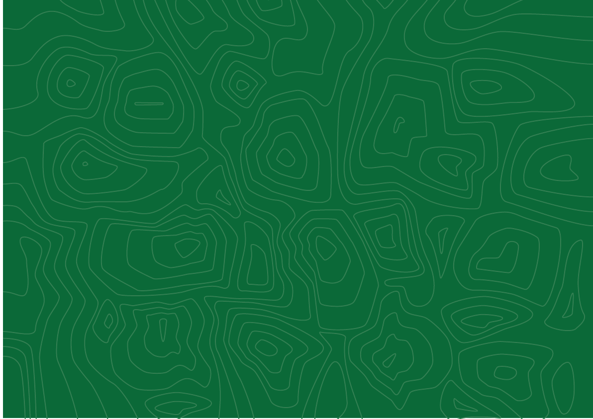 TFC_Pattern-09.png