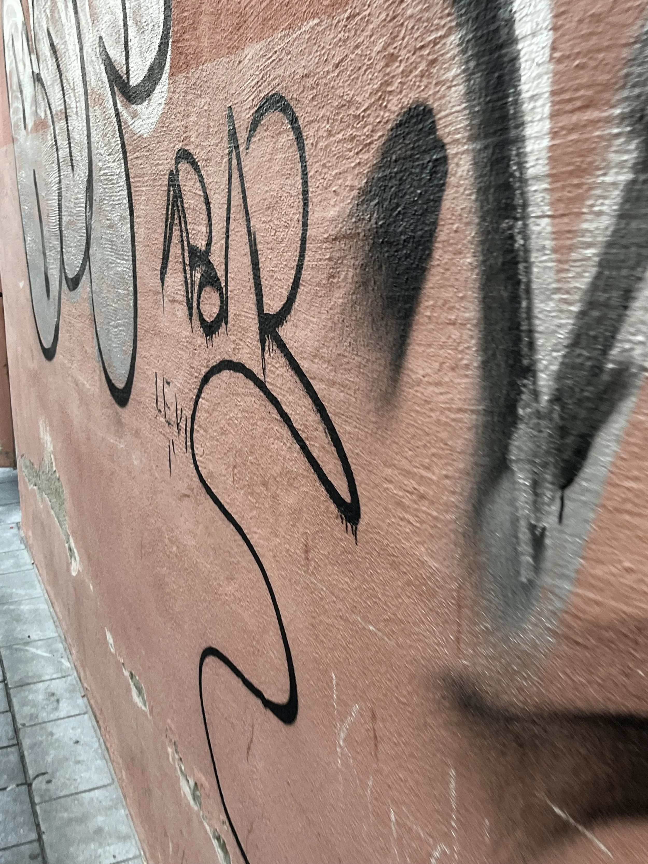 IMG_4115.jpeg